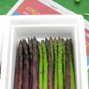 최병용농장 이미지