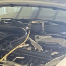 제틀리시(zartlich) 이미지