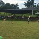 김제호두마루애견카페샵 이미지