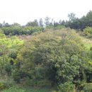 청산농장 이미지