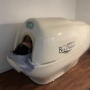 이플랜덴탈랩 | 📍 광안동다이어셀포랩 나의속눈썹 광안리점 – 전신온열돔 체체체 프로그램 솔직후기(-주차)