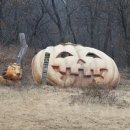 꾸러기캠핑장 이미지