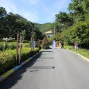 목소리테마파크 이미지