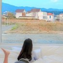 스테이 79 이미지