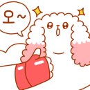 바디라이프 이미지