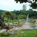 석양이 아름다운 형제섬 농원 이미지