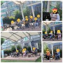 우쿨렐레(초급/오전) 이미지