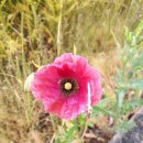 오산2리경로당 이미지