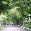 과천청사역 6번 출구 이미지