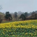 구례목장 이미지