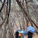 국제통합건강연구소 | [진아명상 8기 워크숍 후기] 겨울 자연과 명상처에서 만난 진짜 나, 따뜻한 귀환