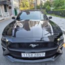 서원카써비스 이미지