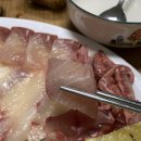 맘보횟집 이미지