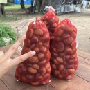 큰뜰농장 이미지