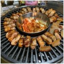 야외돼지