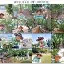 석성산 초당고앞 이미지