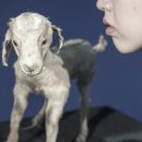 사진전 디에고와 프리다 그들이 함께한 순간들 이미지