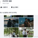 르모먼트필름 | W4) 대구 가성비 본식스냅 "르모먼트 필름"(+ 야외스냅) 한번에 계약한 후기