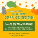 감귤바