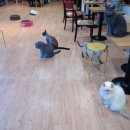 다락방 친구들 이미지