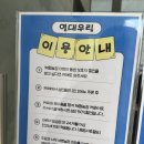 영도농장 | 부산 근교 🦎파충류&amp;동물 먹이 체험 [열대우림카페] 예약링크⭕