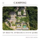 숲속바람 | 경주 캠핑장 추천, 경주캠프포레스트 D9사이트 숲속캠핑 후기