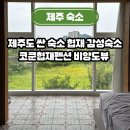 코쿤협재펜션 네이버블로그