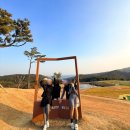 산업로1-3 | 울산 베이스타즈cc 후기 &amp; 세인트나인 3피스 골프공 추천 리뷰 골프용품 선물