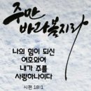 박수명: 원에코시스템(One Ecosystem, OES)이 미카(MiCA, Markets in Crypto-Assets) 승인을 받는다 이미지