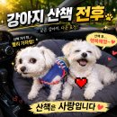 돌싱녀의 침실 이미지