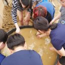 미애농장 이미지