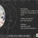 더코스펫에듀학원