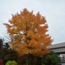 월드파크여관 이미지