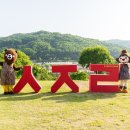 세종시청후문 잔디광장 이미지