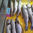 송도수산 이미지