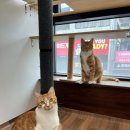 연두민박 이미지