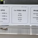 오르투