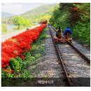 곡성-018 티스토리