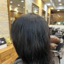 소피아헤어 이미지