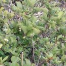 사직2치안센터 이미지