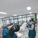 즐거운 애견미용 이미지