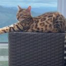 구로종합동물병원 이미지