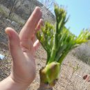 원순농장 이미지