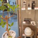 모모의꿈 | 성남 두피 두피케어 최고였던 모모의꿈 방문 후기