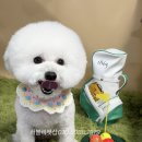 러블리펫샵 이미지