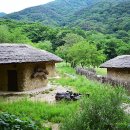 억새마을 이미지