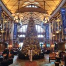 짬사부 | 아이와 함께 간 홍콩 디즈니랜드 여행 둘째날 (인챈티드 가든 조식)