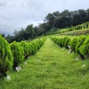 가람목장 이미지