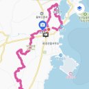 똘똘이청과
