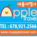 애플여행사